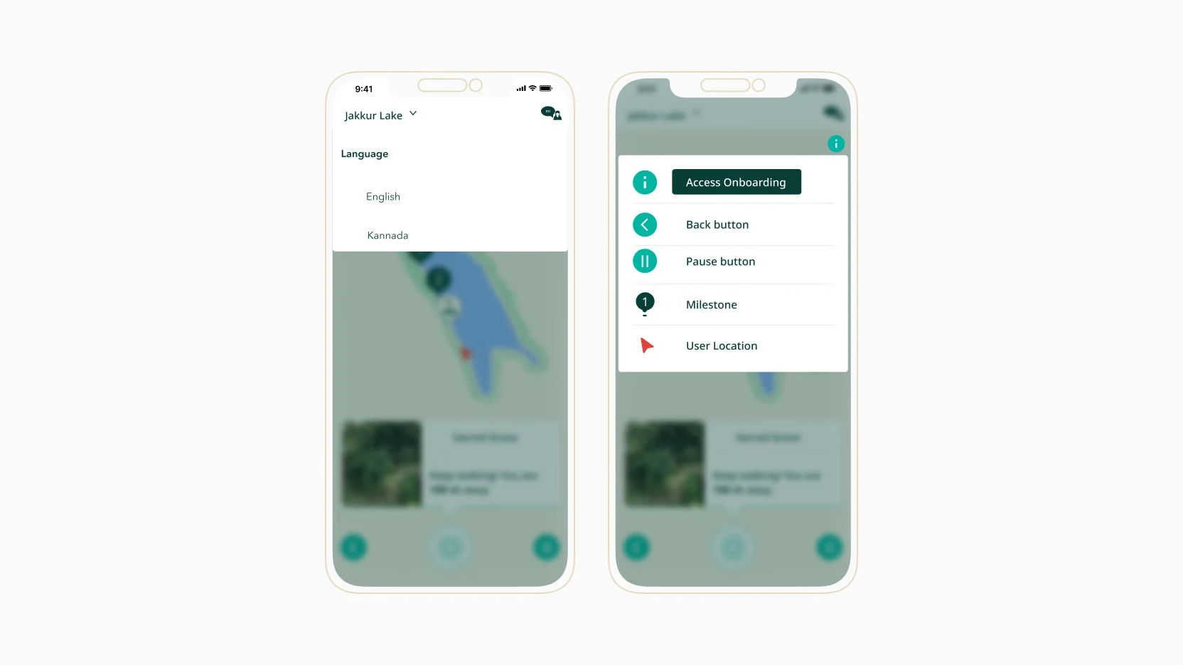 Accessibility and multilingual design