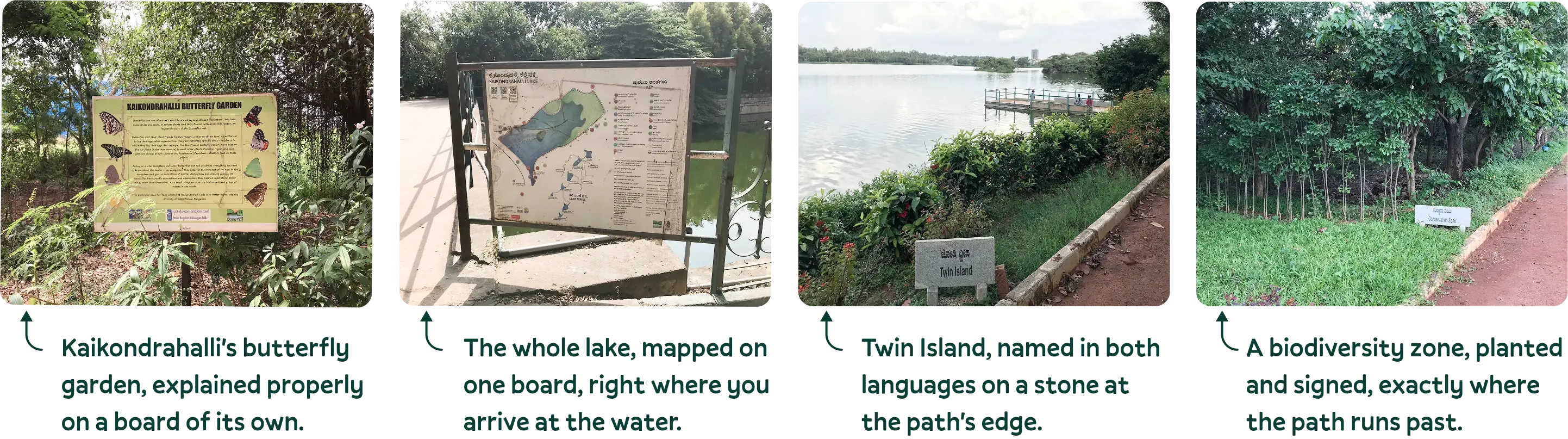 Four photographs from on-site field research at Bengaluru lakes: Kaikondrahalli's butterfly garden board, a board mapping the whole lake at the entrance, Twin Island named in both languages on a stone at the path's edge, and a signed biodiversity zone beside the path.