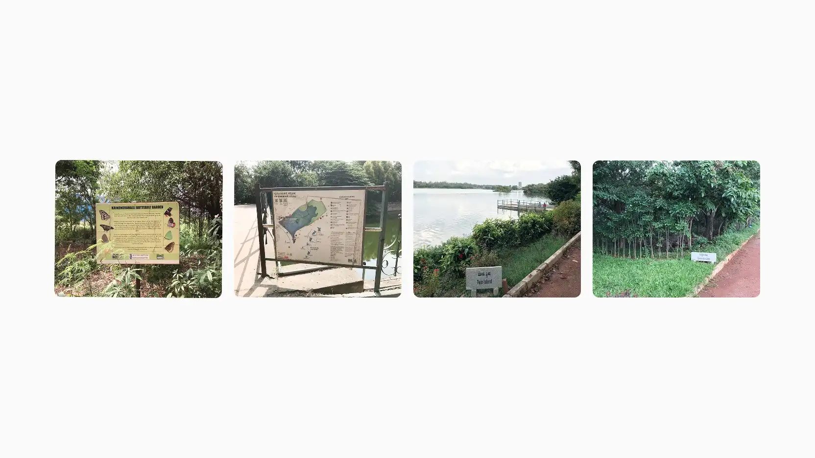 On-site field research at Bengaluru lakes